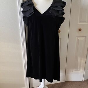 🎗️Lane Bryant Velvet Dress🎗️